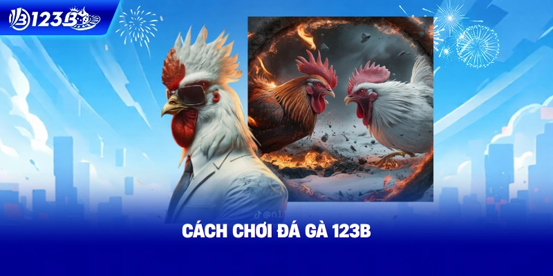 Cách Chơi Đá Gà 123B